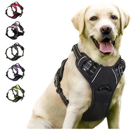 DelightPaw Leather Dog Collar, Harness & Leash Set