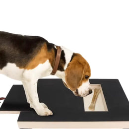 DelightPaw Wooden Dog Nail Scratch Board — Pull-Out Treat Box