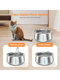 DelightPaw HydraFeed