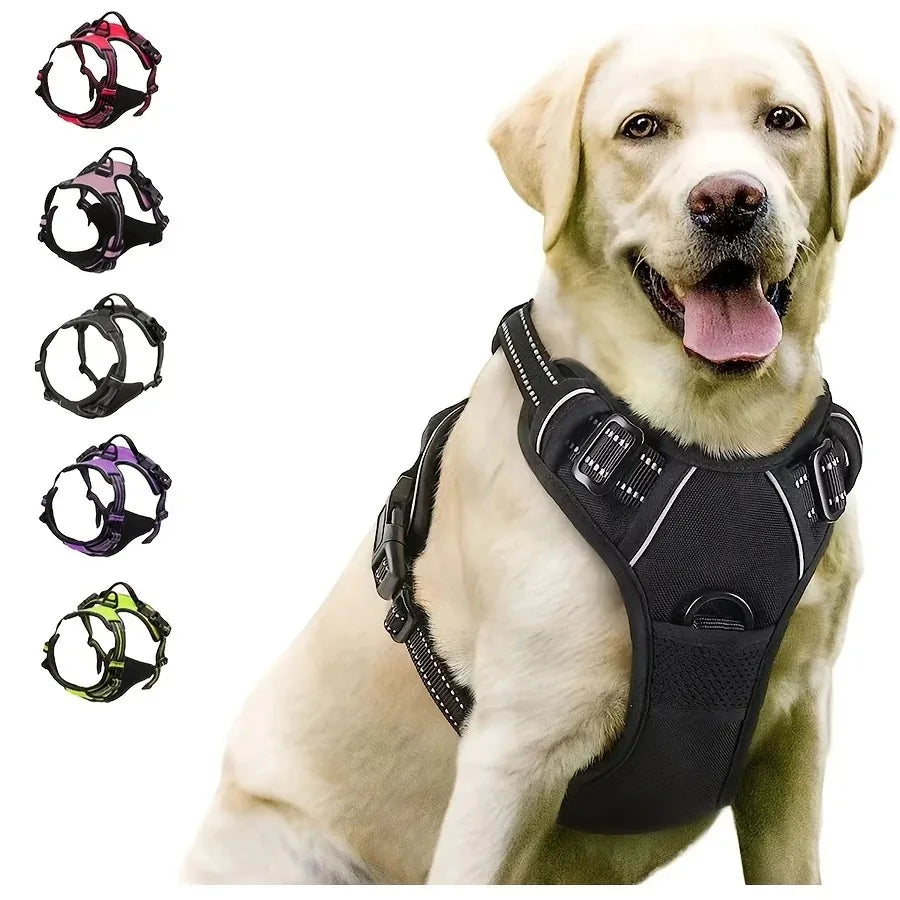 DelightPaw Leather Dog Collar, Harness & Leash Set