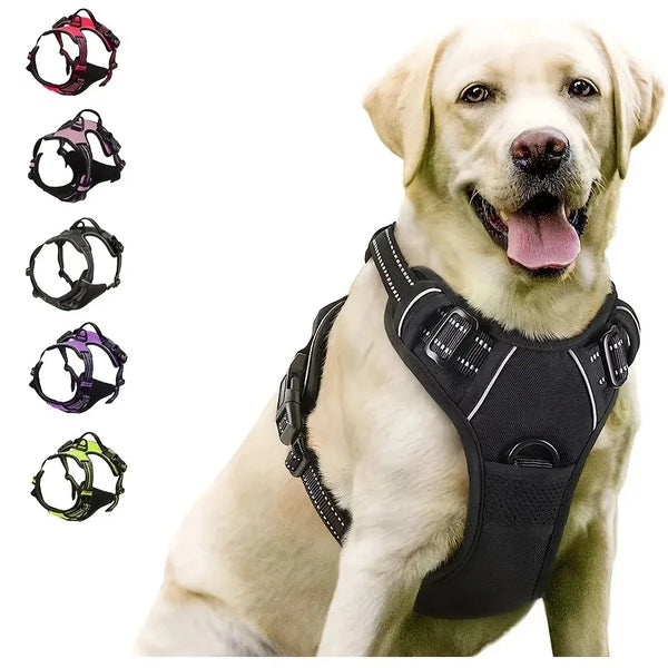DelightPaw Leather Dog Collar, Harness & Leash Set