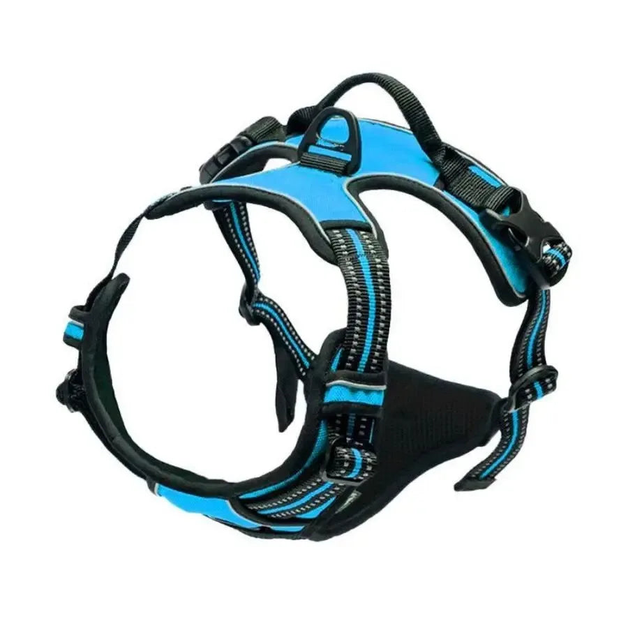 DelightPaw Leather Dog Collar, Harness & Leash Set