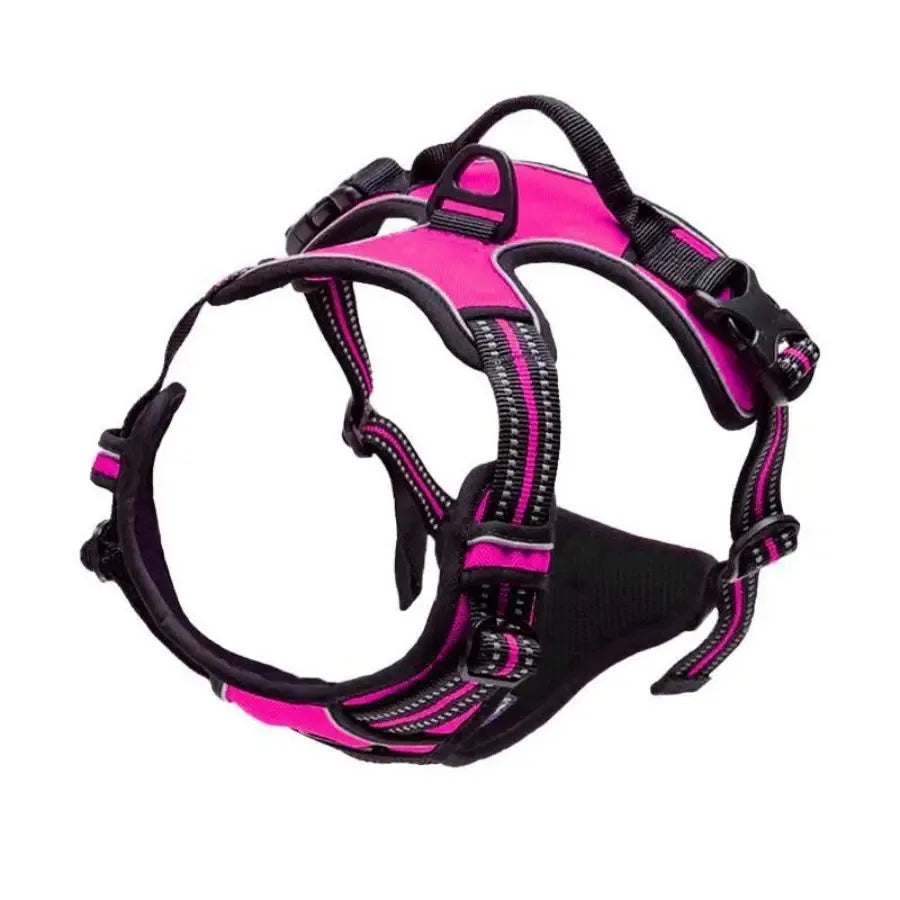DelightPaw Leather Dog Collar, Harness & Leash Set