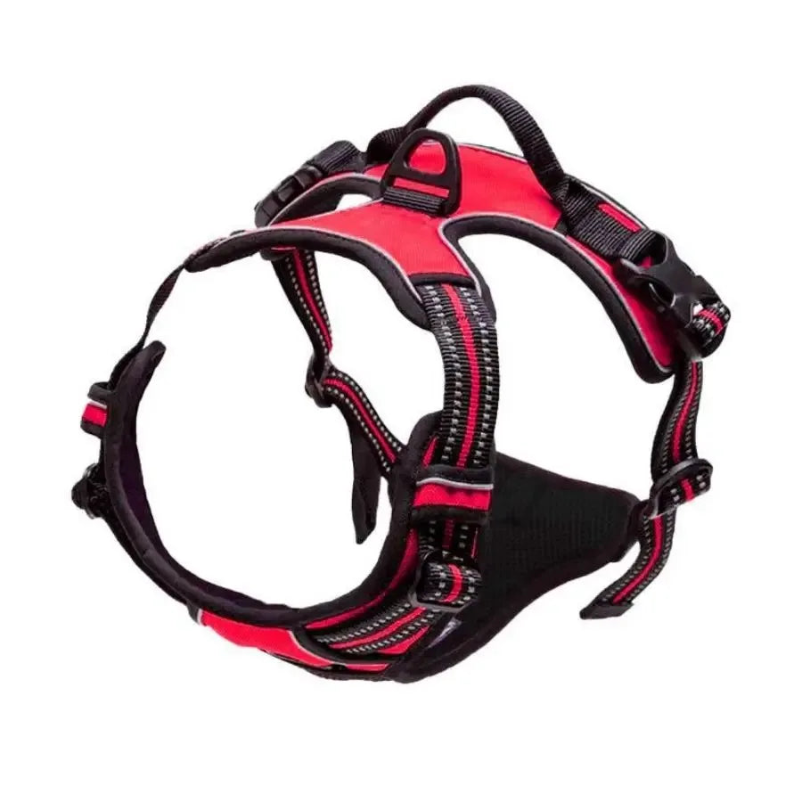 DelightPaw Leather Dog Collar, Harness & Leash Set