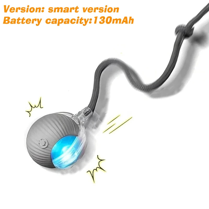 DelightPaw Smart Rolling Interactive Dog Ball