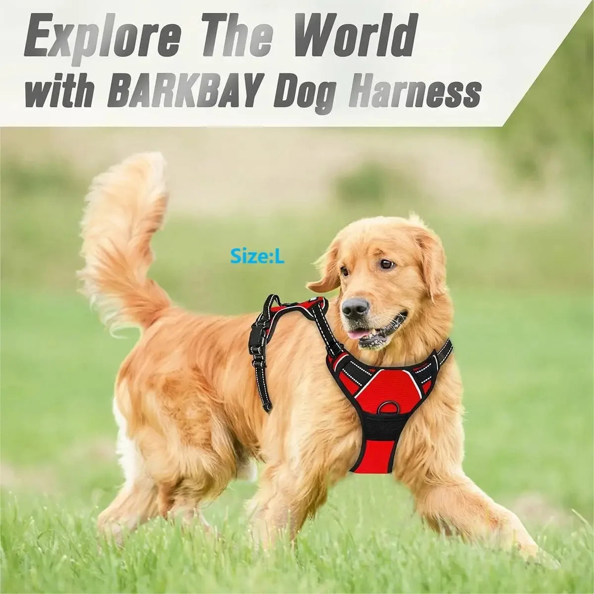 DelightPaw Leather Dog Collar, Harness & Leash Set