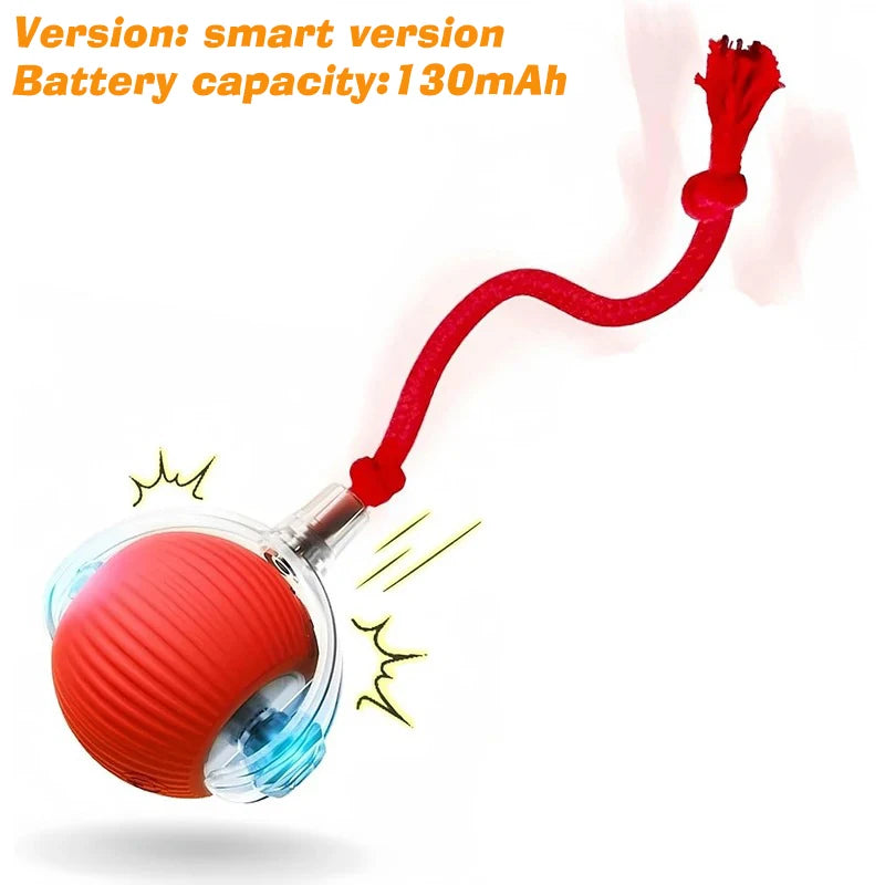 DelightPaw Smart Rolling Interactive Dog Ball