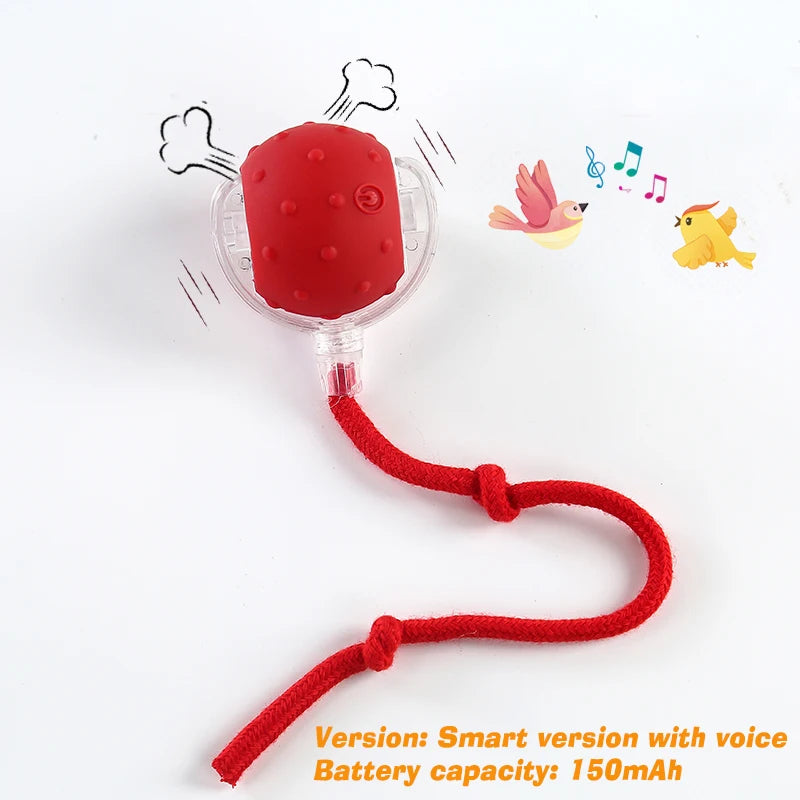 DelightPaw Smart Rolling Interactive Dog Ball