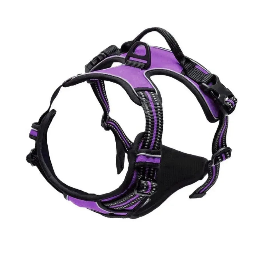 DelightPaw Leather Dog Collar, Harness & Leash Set