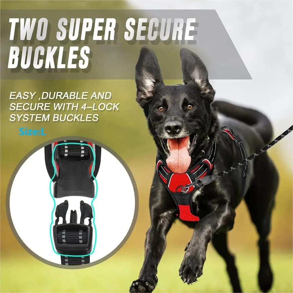 DelightPaw Leather Dog Collar, Harness & Leash Set