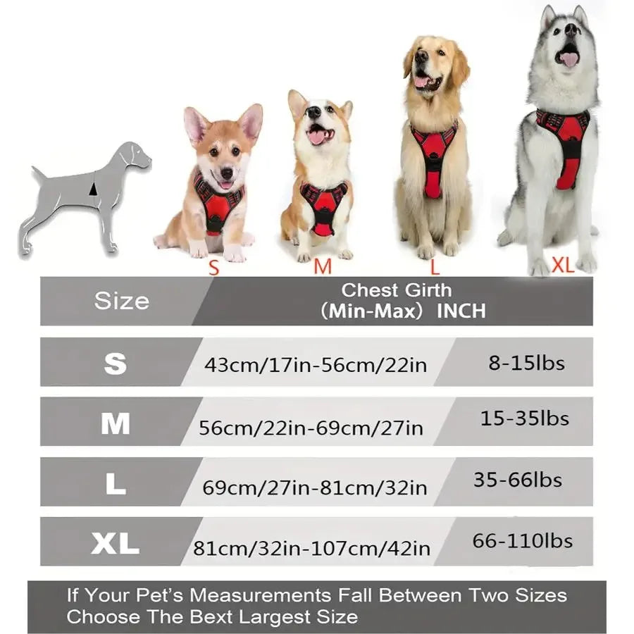 DelightPaw Leather Dog Collar, Harness & Leash Set