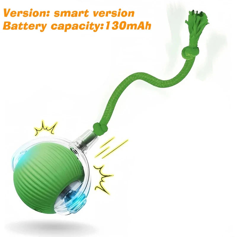 DelightPaw Smart Rolling Interactive Dog Ball