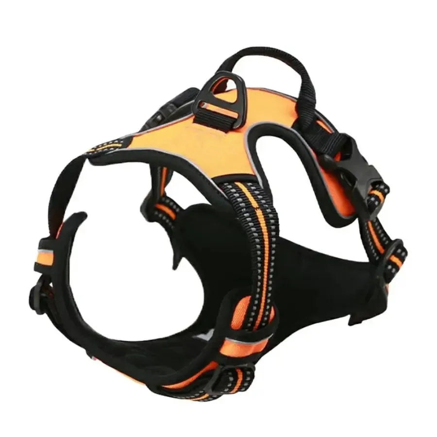 DelightPaw Leather Dog Collar, Harness & Leash Set