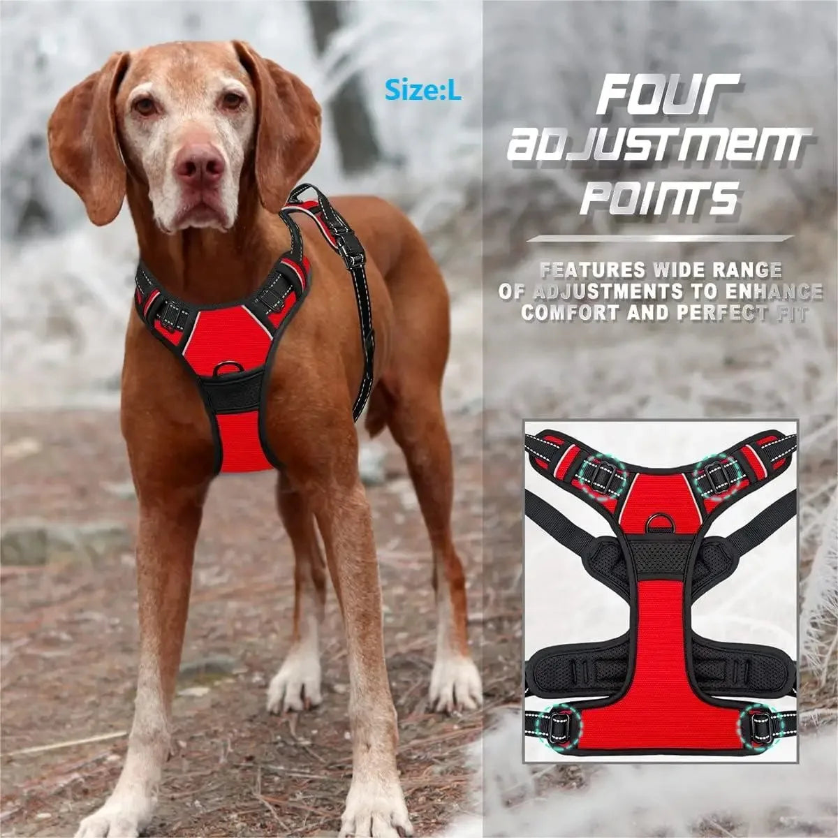 DelightPaw Leather Dog Collar, Harness & Leash Set