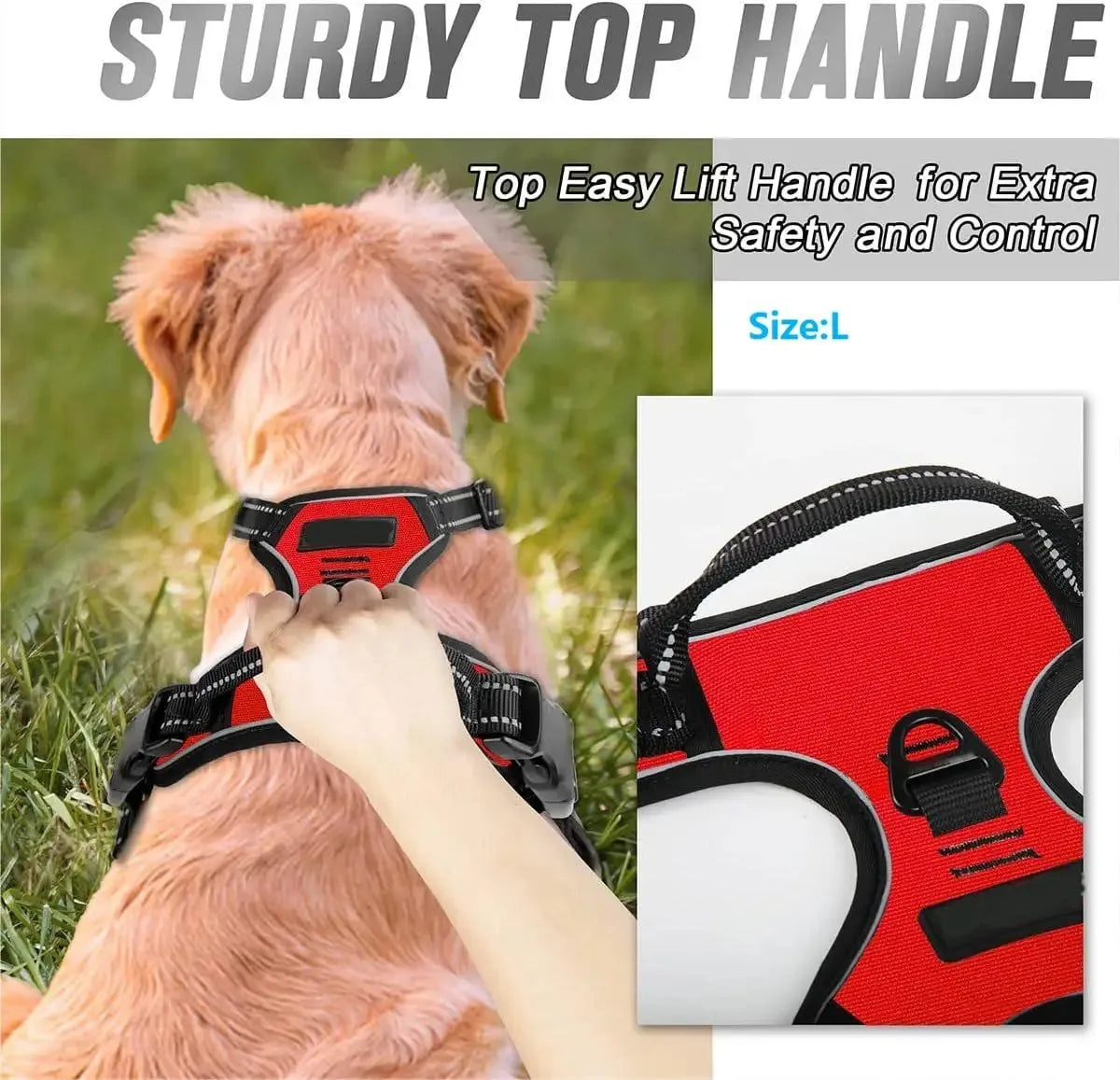 DelightPaw Leather Dog Collar, Harness & Leash Set
